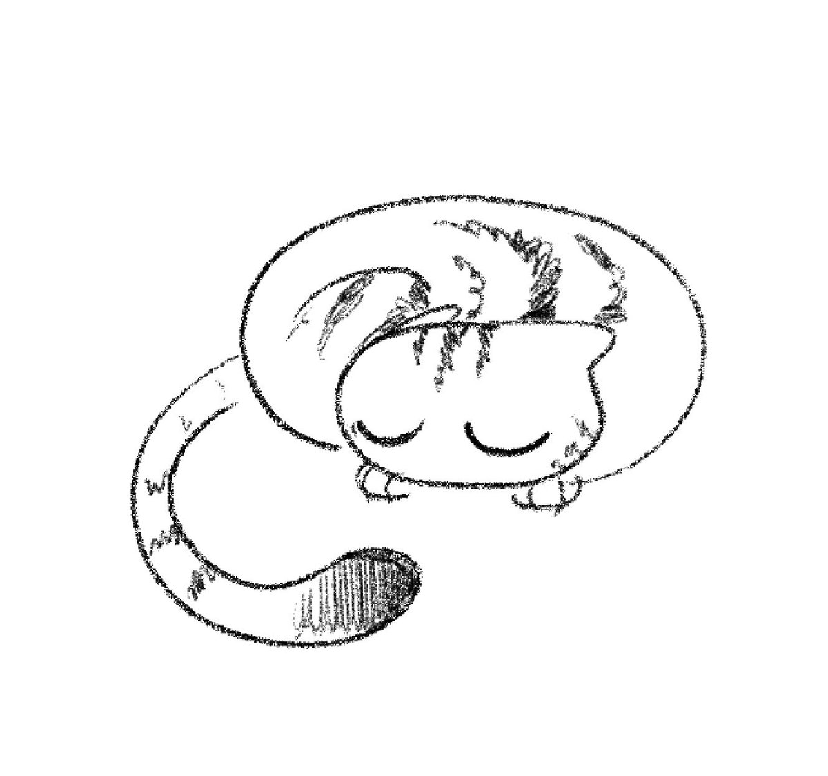 drowsylorax's tweet photo. cat doodles https://t.co/6vxZVQJcpm