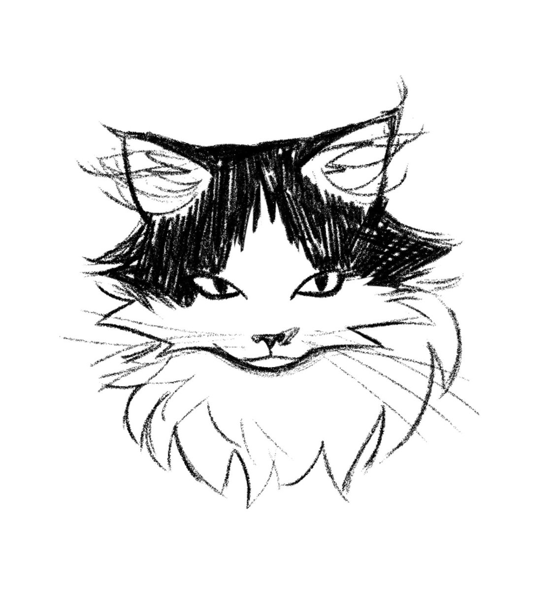 drowsylorax's tweet photo. cat doodles https://t.co/6vxZVQJcpm