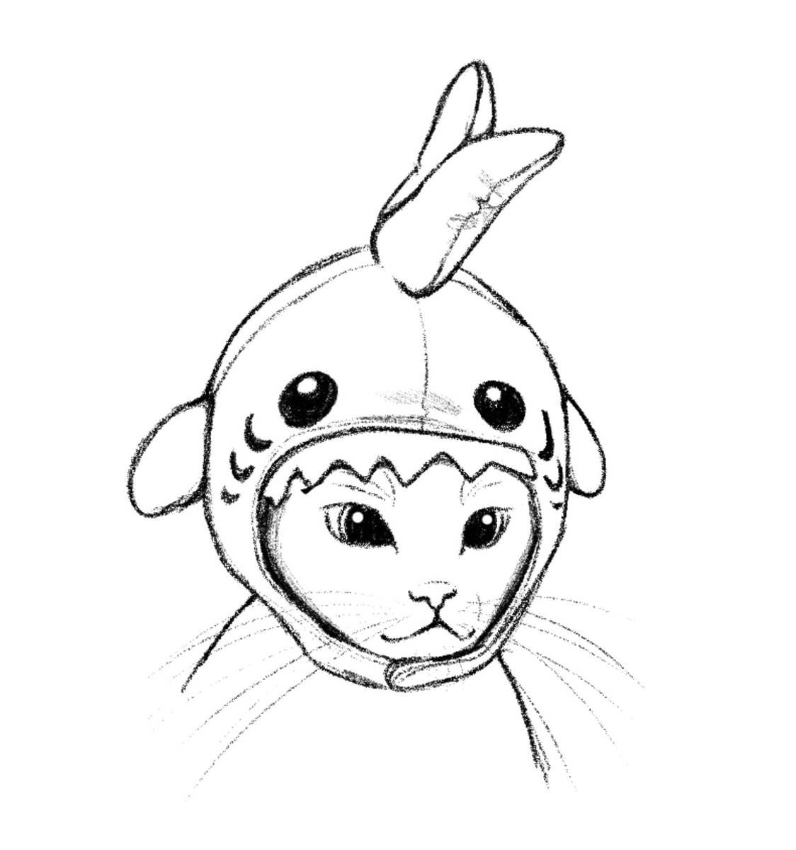 drowsylorax's tweet photo. cat doodles https://t.co/6vxZVQJcpm