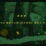 Photo by 올빼미 (@owl5post)