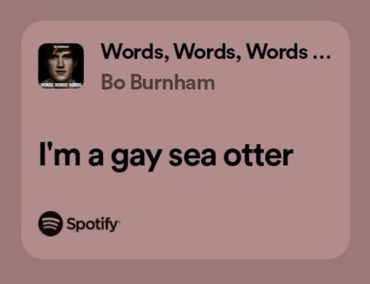 Meadosdeperr0's tweet photo. how pinterest sees me 

character 
animal 
lyrics I guess
weather #Cloudyteam https://t.co/mI8JLHBanB