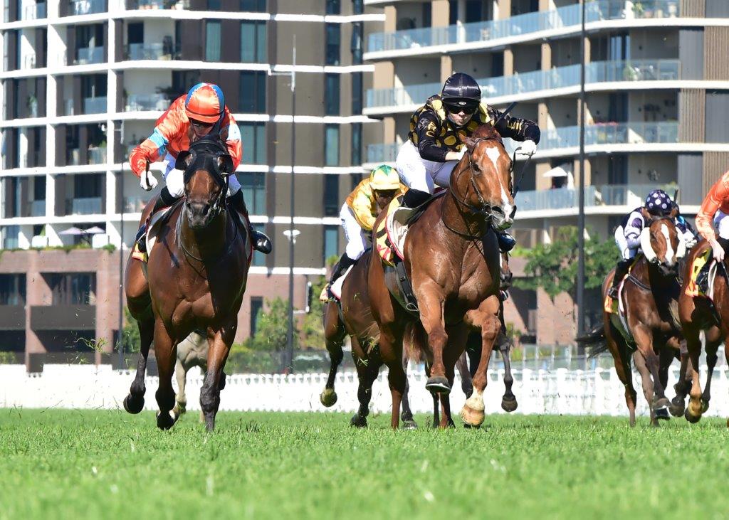 tonygollan's tweet photo. 💥TRACKSIDE WINNER OF THE WEEK 💥
Our #WinnerOfTheWeek presented by Trackside Photography is Precise Star.
4yo gelding Precise Star (Zoustar x Dear Demi) won the Benchmark 70 Handicap over 1500m at Eagle Farm on Saturday ridden by Bella Youngberry & strapped by Matilde Bruni. https://t.co/26ZmKwPTJ1
