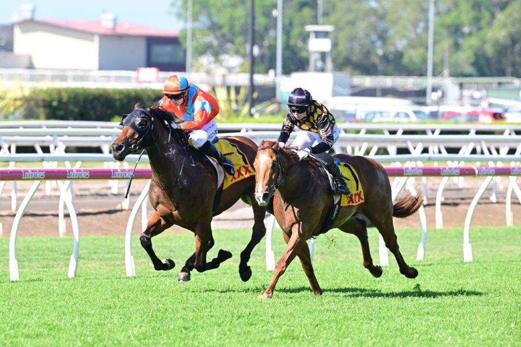 tonygollan's tweet photo. 💥TRACKSIDE WINNER OF THE WEEK 💥
Our #WinnerOfTheWeek presented by Trackside Photography is Precise Star.
4yo gelding Precise Star (Zoustar x Dear Demi) won the Benchmark 70 Handicap over 1500m at Eagle Farm on Saturday ridden by Bella Youngberry & strapped by Matilde Bruni. https://t.co/26ZmKwPTJ1
