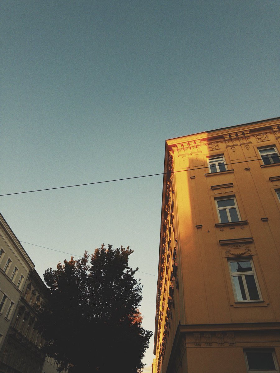 lupocamera's tweet photo. Golden hour

iPhone 16 Pro Max • Halcyon • f5.6 • Box Speed

#iphonephotography #iphoneography #analog #buildinpublic #swift #ios #apple https://t.co/OwhIh2wPyh