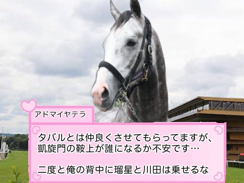 nokurixshii's tweet photo. 凱旋門賞の鞍上が決まったアドマイヤテラです https://t.co/NDRFTY0veV