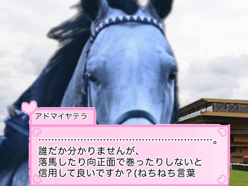 nokurixshii's tweet photo. 凱旋門賞の鞍上が決まったアドマイヤテラです https://t.co/NDRFTY0veV