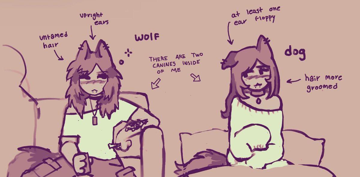 TAXIDERMISS's tweet photo. there are two canines inside of me https://t.co/uCOIxZvv8L