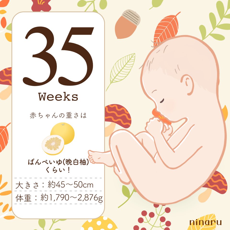 asuhachan03's tweet photo. ここまでよく頑張ったあと少し https://t.co/vFAamGb5a6