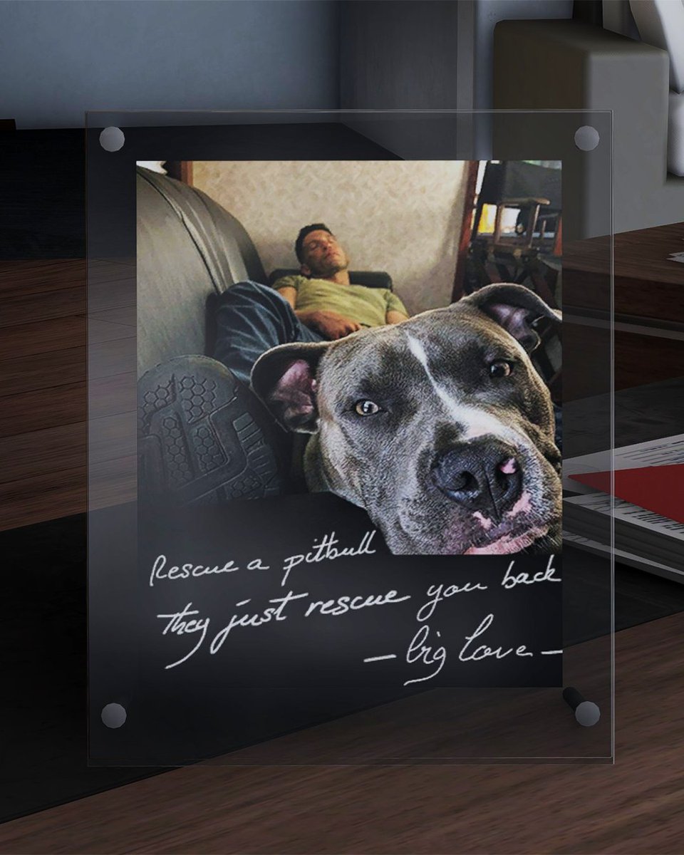 GhostRecon's tweet photo. Between the gunfights of Breakpoint, you may have missed this endearing easter egg in Jace Skell's estate.

Our very own Cole D. Walker has a well-known soft spot for pit bull rescues that we're happy to have memorialized on-stage and in-game. https://t.co/6ZLadVu3jg