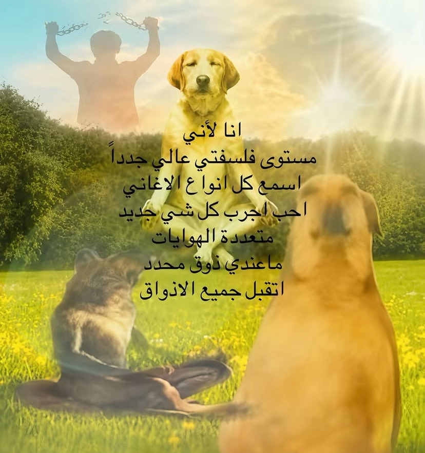 Huiiqq's tweet photo. https://t.co/LGqVgBfQAr