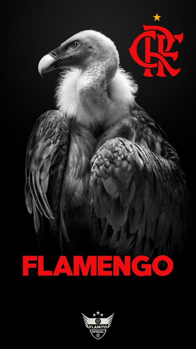 sandogslove's tweet photo. Segue o líder
VAMOS FLAMENGO 🔴 ⚫️
#REMxFLA
#BOTxPAL https://t.co/NQTKHLTrak