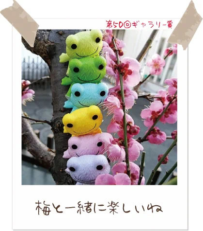 かえるのピクルス/pickles the frog (@picklesthefrog6) / X