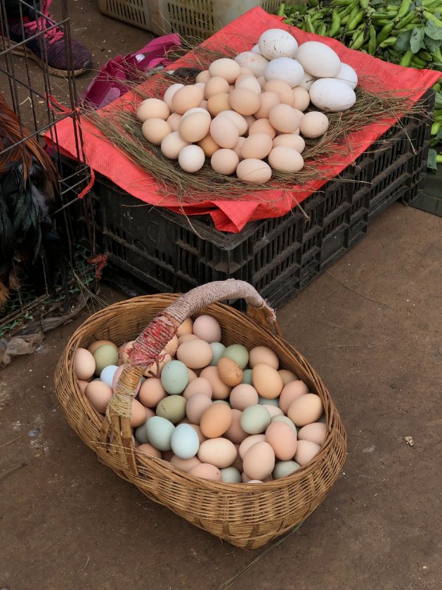 ducke886359's tweet photo. Fresh seasonal veggies u0026 eggs restocked at our neighborhood farm stand! Grab yours before they’re gone—perfect for tonight’s home-cooked meal. https://t.co/DlW1peRvBo