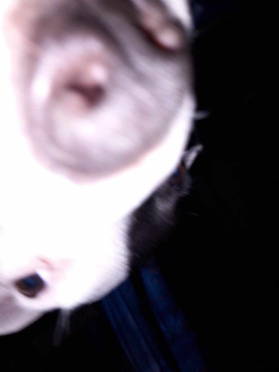 HeyItsMozza tweet picture