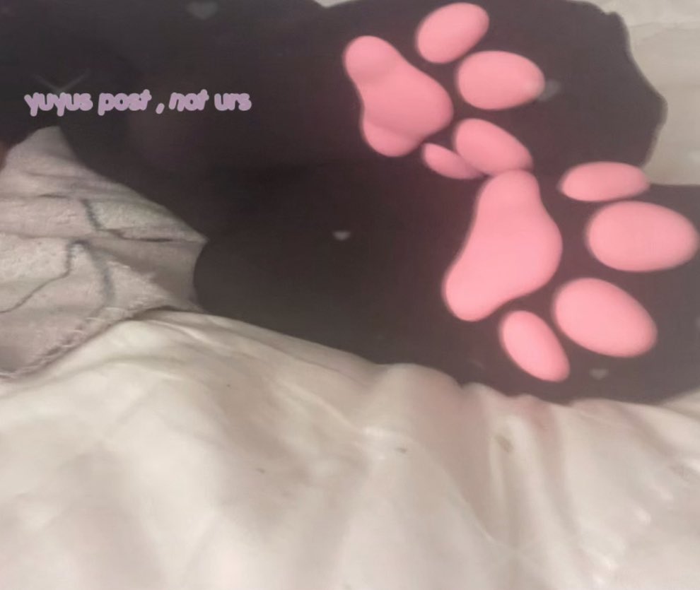 vamphrtz's tweet photo. pawjob from a #lowlvl kittygirl ? https://t.co/tu1HYEgaXS