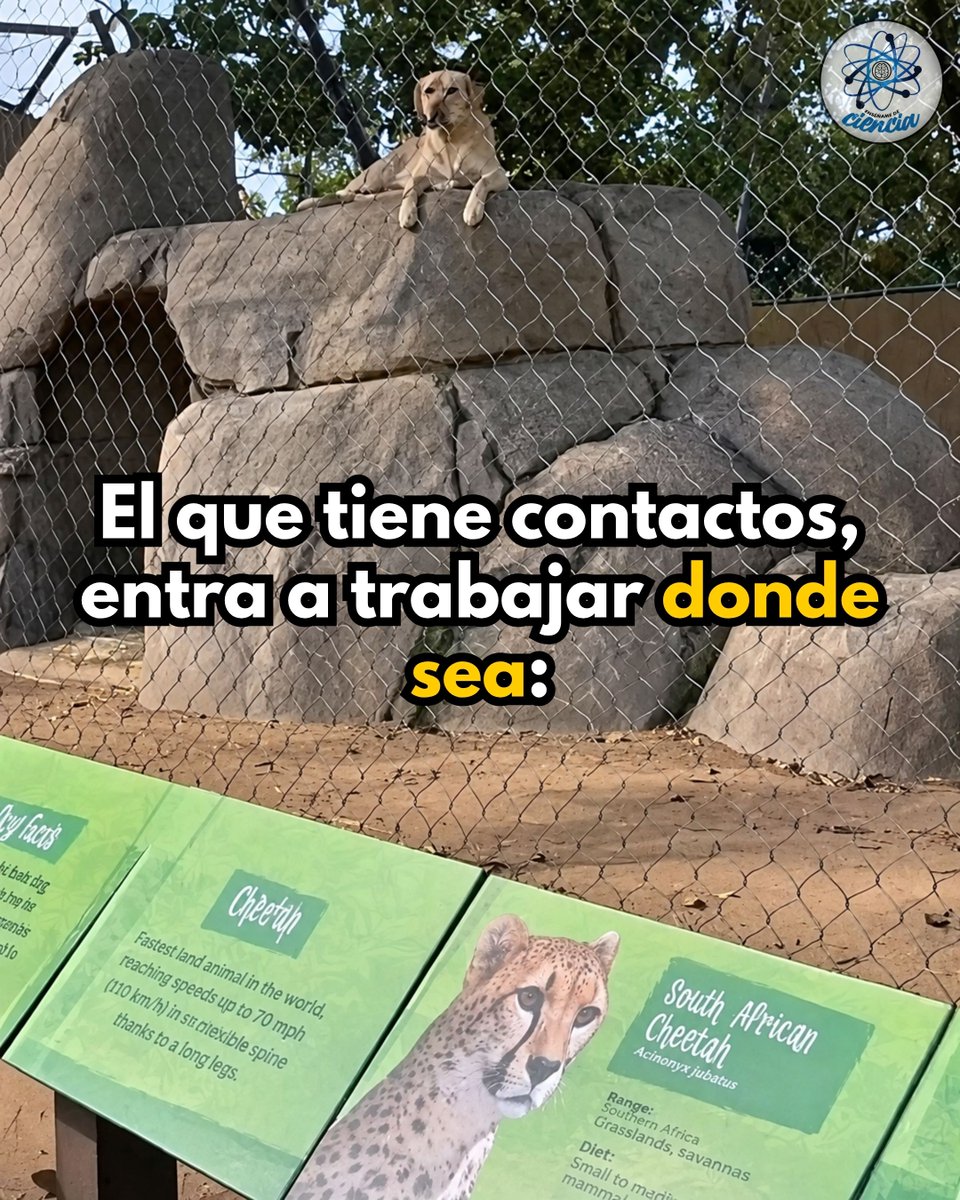 EnsedeCiencia's tweet photo. 🤡 https://t.co/RmSTuHBPWg