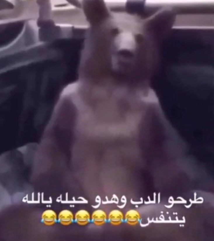 lujaini_06's tweet photo. سويت أكثر من ثلاثين دعوة https://t.co/sJ8W3CY5G8