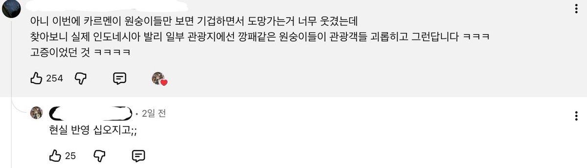 Hearts_Jiwoo's tweet photo. 아 웃기지마 제발ㅜㅜㅜㅜ

인도네시아 발리 일부 관광지에선 원숭이가 ㅈㅉ 관광객들 괴롭혀서 르멘이가 숭숭이들만 보면 기겁하고 도망친다고 ㅋㅋㅋㅋ 아개웃겨고증이래 https://t.co/Glbx3SKvl1
