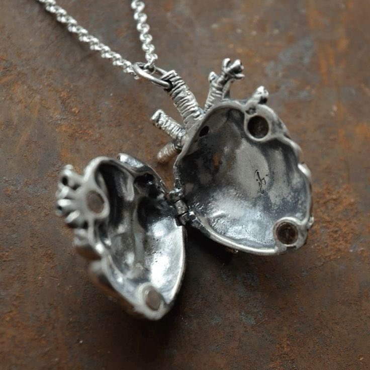 revesrosess's tweet photo. heart shaped necklace https://t.co/MHxNRPDpig