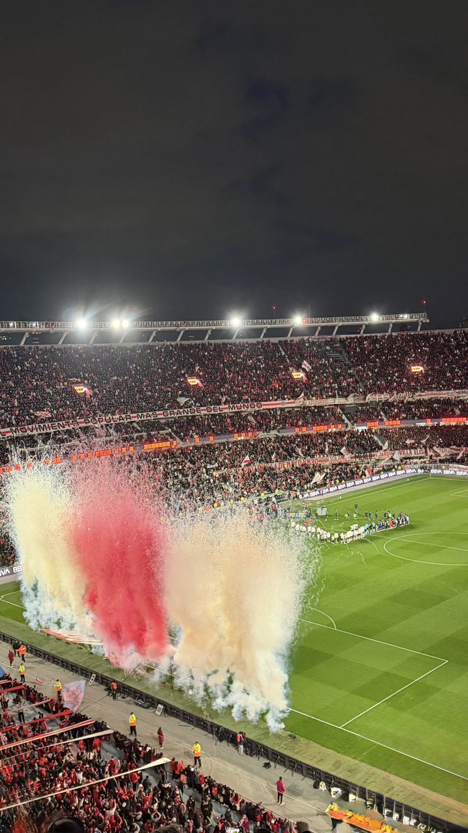 flor_romano4's tweet photo. Simplemente, HERMOSO🐔🏟️ https://t.co/iejHPQD0tE