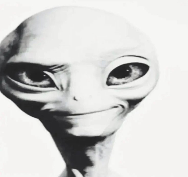 ethereater137's tweet photo. just kidding! How could you forget this face... https://t.co/iPrNkdsbvX