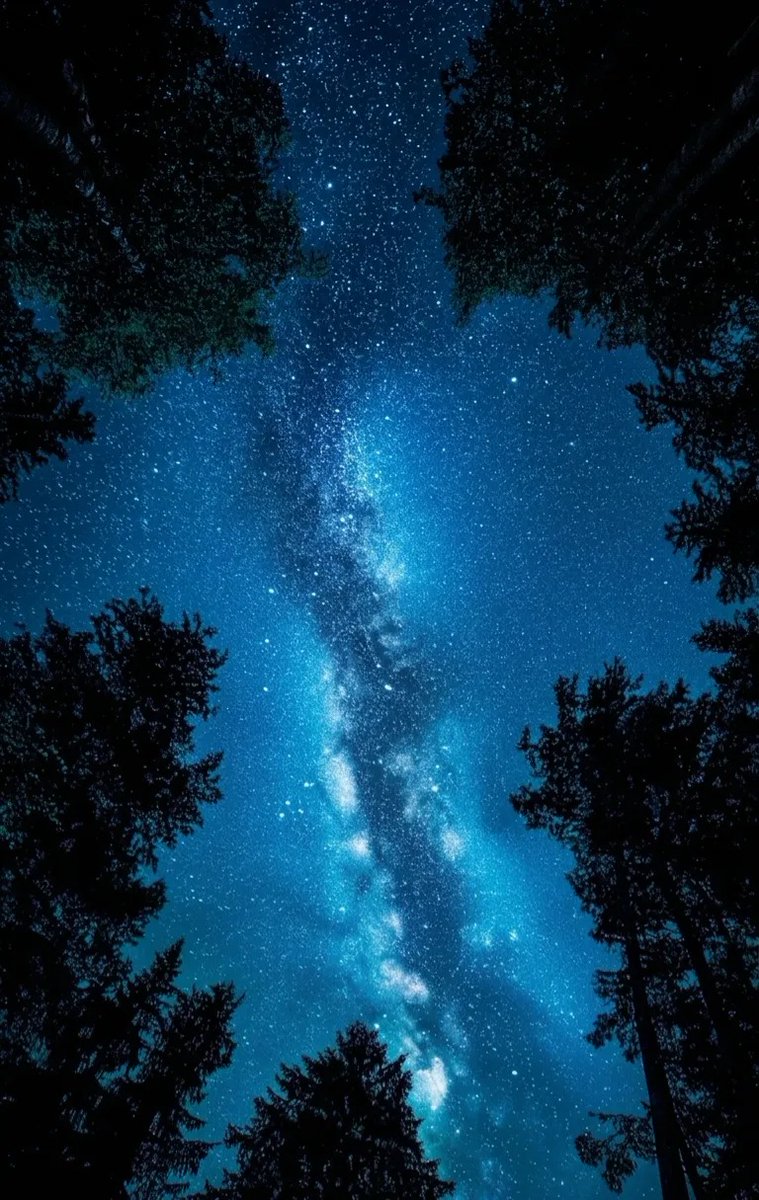 EmilyHallsbi's tweet photo. 𝑠𝑡𝑜𝑙𝑜 𝑙𝑎 𝑐𝑜𝑛𝑜𝑐𝑒𝑠 𝑡𝑢́.𝑇𝑜𝑑𝑜𝑠 𝑣𝑒𝑛 𝑒𝑙 𝑡𝑖𝑡𝑢𝑙𝑜 𝑝𝑒𝑟𝑜 𝑙𝑎 𝑣𝑒𝑟𝑑𝑎𝑑
𝑄𝑢 𝑣𝑖𝑑𝑎 𝑒𝑠 𝑐𝑜𝑚𝑜 𝑢𝑛 𝑙𝑖𝑏𝑟𝑜 𝑐𝑒𝑟𝑟𝑎𝑑𝑜,
𝑢𝑒 𝑛𝑜 𝑡𝑒 𝑖𝑚𝑝𝑜𝑟𝑡𝑒 𝑙𝑜 𝑞𝑢𝑒 𝑝𝑖𝑒𝑛𝑠𝑒𝑛 𝑑𝑒 𝑡𝑖. https://t.co/Q5cc21uOxJ