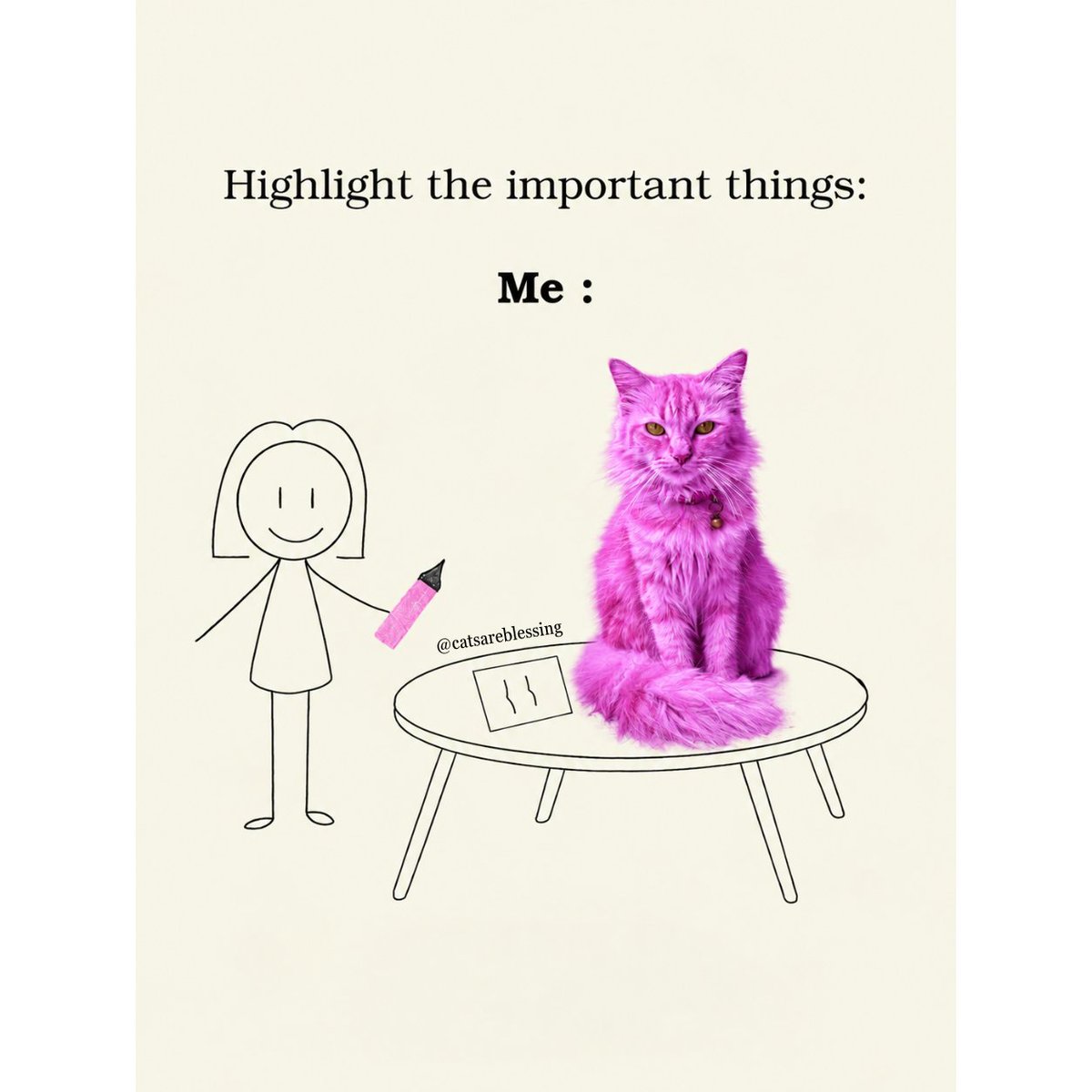 catsareblessing tweet picture