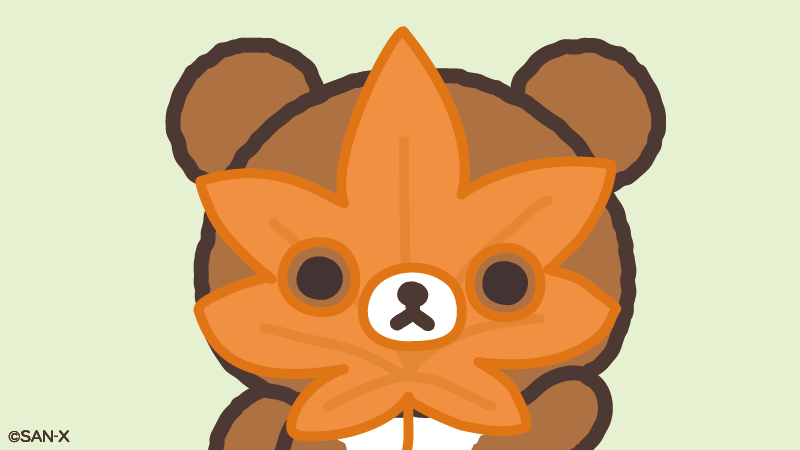 rilakkuma_gyr's tweet photo. 🍯7のつく日はチャイロイコグマの日🍯

大きい葉っぱみつけたよ〜🍂 https://t.co/1aqL3Z03Rx