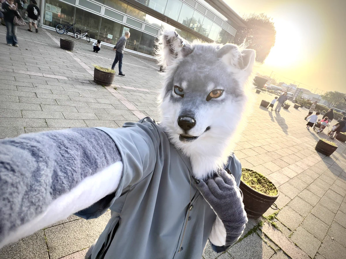 みそしる！📸 on X: 