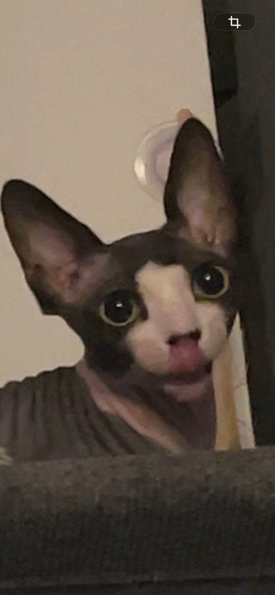 himself_satan's tweet photo. https://t.co/OmJvjyezVz