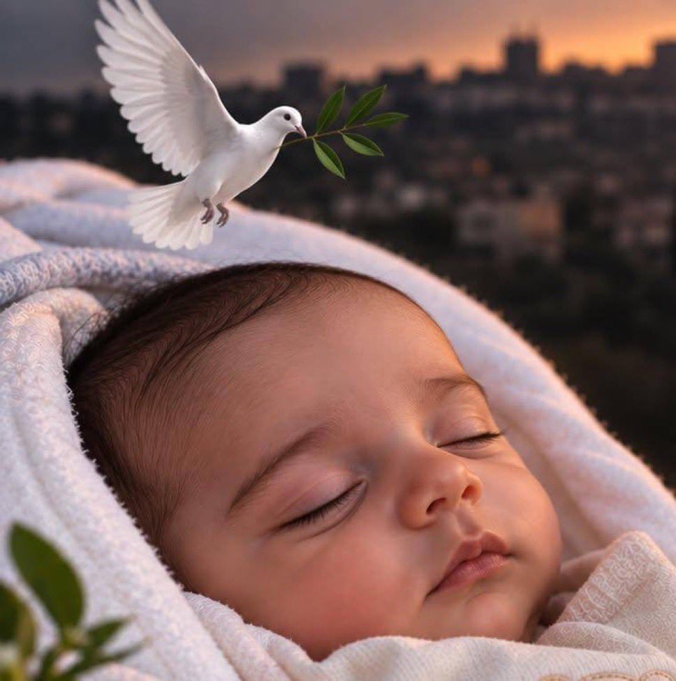 sahouraxo's tweet photo. Israel killed this 2-month-old baby tonight in South Lebanon.

An infant. Just 8 weeks old. https://t.co/1Y0662V87i