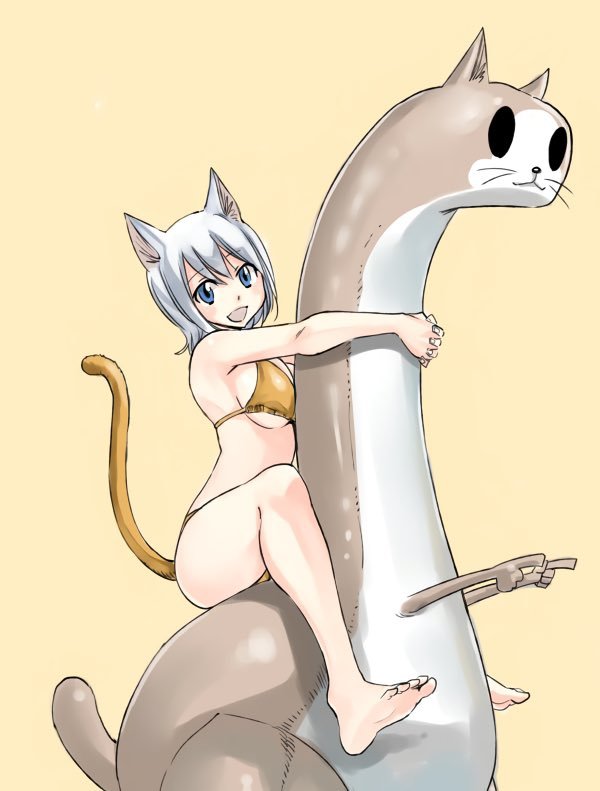 Happythassassin's tweet photo. Lisanna in some of the most random insanity of all time 
Cat girl
Bikini 
Cat creature (I think 😭)
All together 😭 https://t.co/as1MdlsYoy