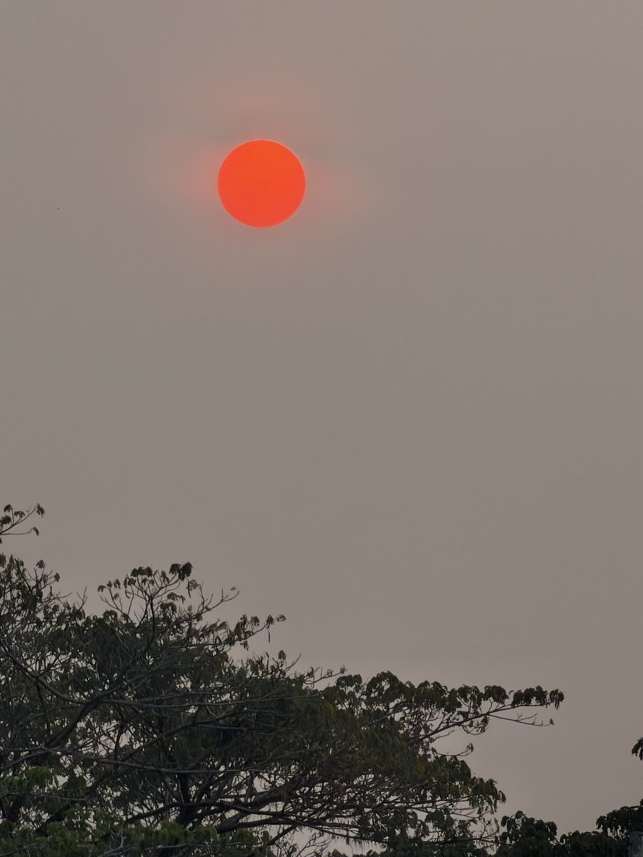 MelGohCNA's tweet photo. Can someone tell me why the sun looks like this in Serian, Sarawak ?  I know moon cake festival is coming but egg yolk in the sky is a first 🥮 https://t.co/3PCdpA4flF