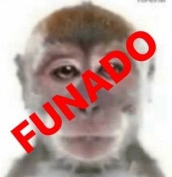 ginporrito's tweet photo. coertwt siempre que puede https://t.co/wrjzayFlth
