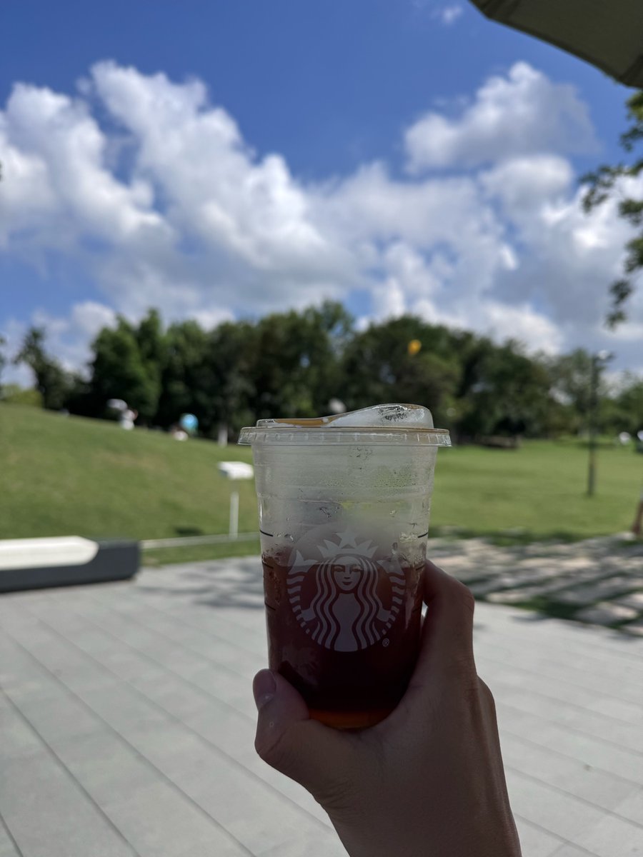图拉鼎 的图片 1
