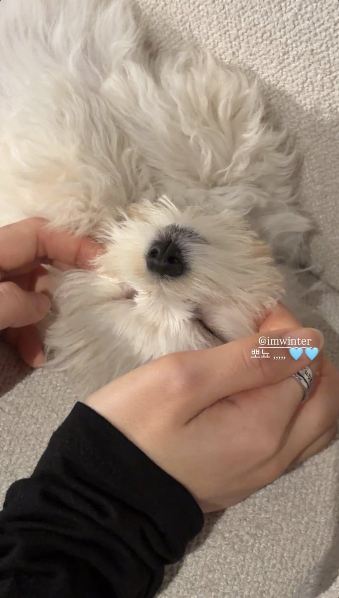 winterbearjm's tweet photo. โปเนียวไดอารี่ https://t.co/lWHroyIeT9