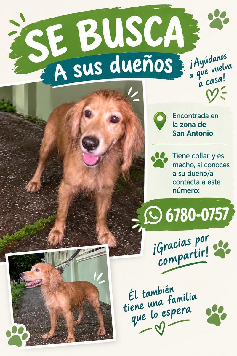 ivetteodalys's tweet photo. AYUDEMOS COMPARTIENDO ESTE MENSAJE🙏🏽🙏🏽🙏🏽
Su familia debe saber dónde buscarlo!!
👏🏽👏🏽👏🏽Totales a quien tuvo empatía y lo está cuidando https://t.co/btlfIB9mls