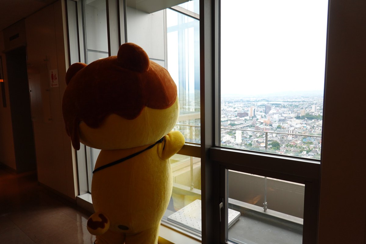 summoned0skull's tweet photo. @potekuma_kun_ 兄の威厳を見せてあげてください😄 https://t.co/SNHLnc7QkL