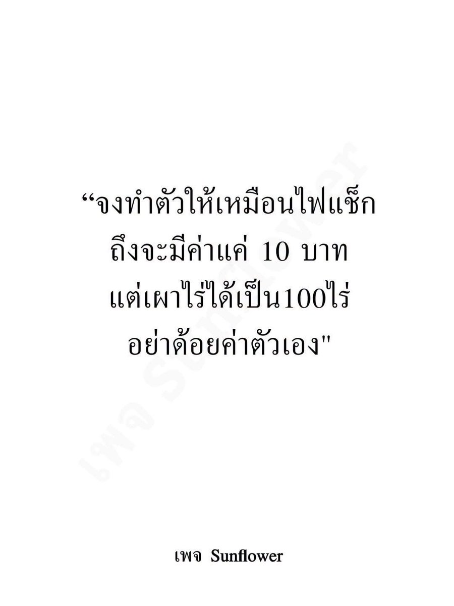 starlightnzz's tweet photo. เริ่ดดด https://t.co/2UIdzoJZTS
