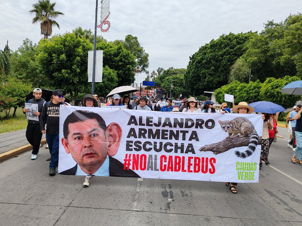 arboles_puebla's tweet photo. ¡Armenta, escucha #NoAlCablebus!!! 
#NoSomosBots
El cablebus es un proyecto opaco, sin justificación técnica ni respaldo social. https://t.co/ZHANlayGZ9