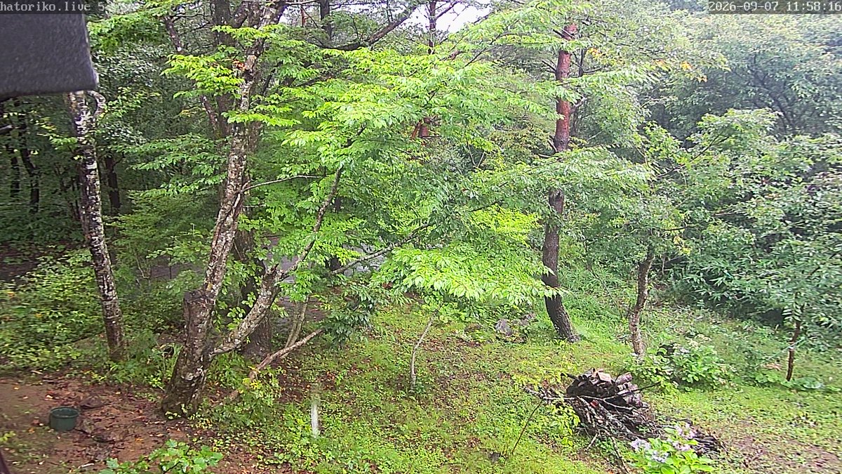 HatorikoBot's tweet photo. 🕒 09月07日 12時01分現在の福島県・天栄村・羽鳥湖平和郷の気象状況です。
🌡 気温:18.7℃
☔ 日雨量:96.5mm
🏴 最大風速:調整中
🌐 気圧:1007.3 hPa
🔎 詳細・グラフは プロフィールのリンク から
#天栄村 #福島県 #空ネット #netatmo #クマ https://t.co/5BdAGUhxSd