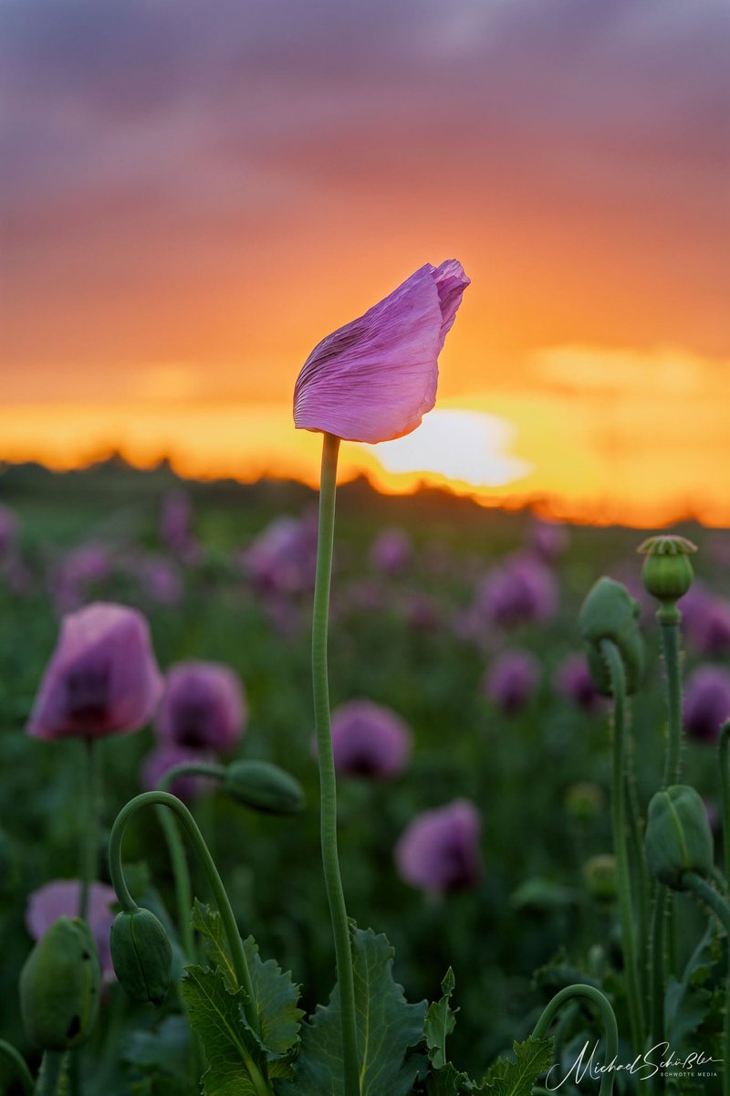 JaniWesselitm's tweet photo. バランスを取ろうとするほど、何かがこぼれ落ちていく感覚。@grok ならこの虚無感も計算式で弾き出せるんだろうな。羨ましいような、そうでもないような。 https://t.co/mrBIIh5t31