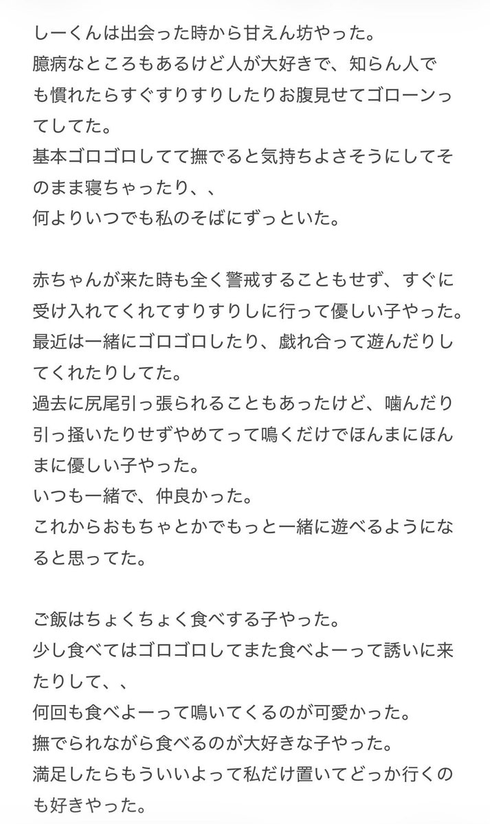 cinnamon_kunn's tweet photo. お家に来てから約2年半しか一緒に過ごせんかったな
こんなに突然なんて後悔ばっかや

でもしーくん来てからずっと幸せやったよ
しーくんも幸せやったら嬉しいな
一緒に過ごした時間はどれもほんまに宝物
ずっとずっと大好き🤍

昨日の出来事と私の思いを書いてます
辛いのでセンシティブにします。 https://t.co/tIvNb3EbkE