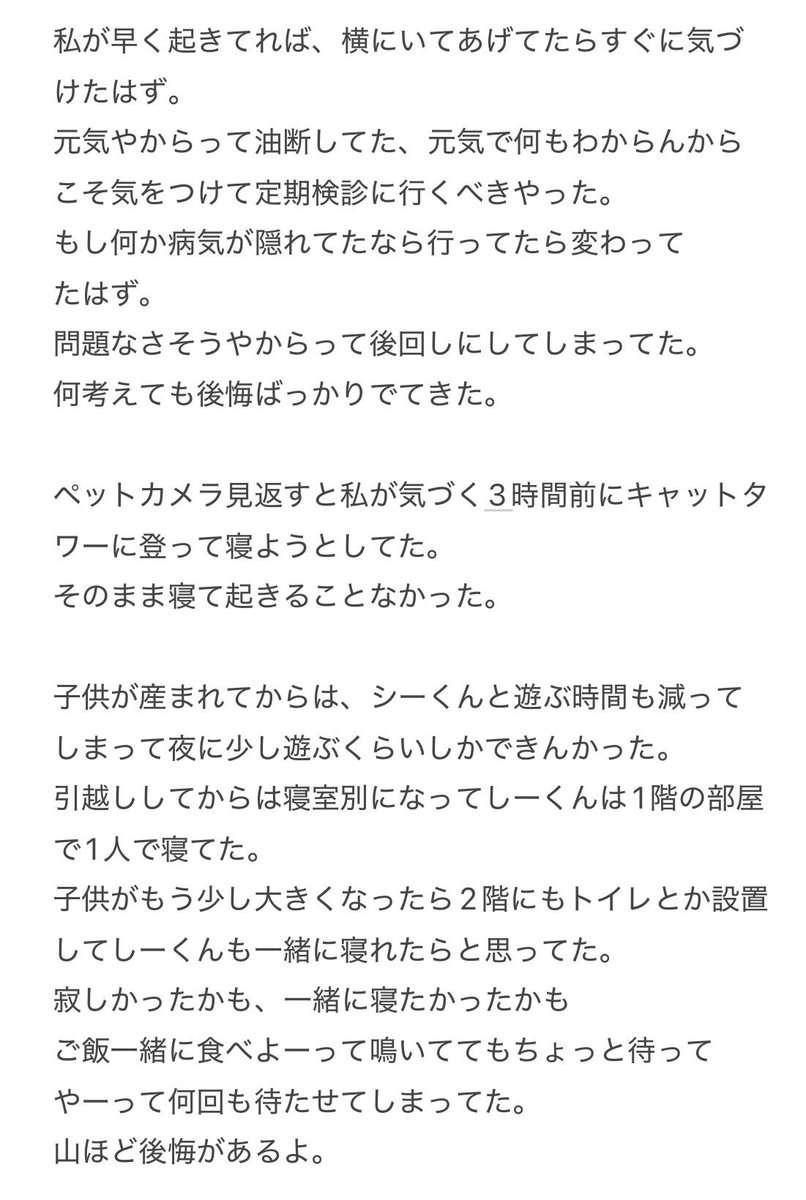 cinnamon_kunn's tweet photo. お家に来てから約2年半しか一緒に過ごせんかったな
こんなに突然なんて後悔ばっかや

でもしーくん来てからずっと幸せやったよ
しーくんも幸せやったら嬉しいな
一緒に過ごした時間はどれもほんまに宝物
ずっとずっと大好き🤍

昨日の出来事と私の思いを書いてます
辛いのでセンシティブにします。 https://t.co/tIvNb3EbkE