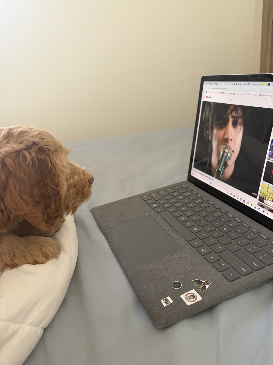 fabmorettiholic's tweet photo. teaching them early https://t.co/aOw8QOMhCn