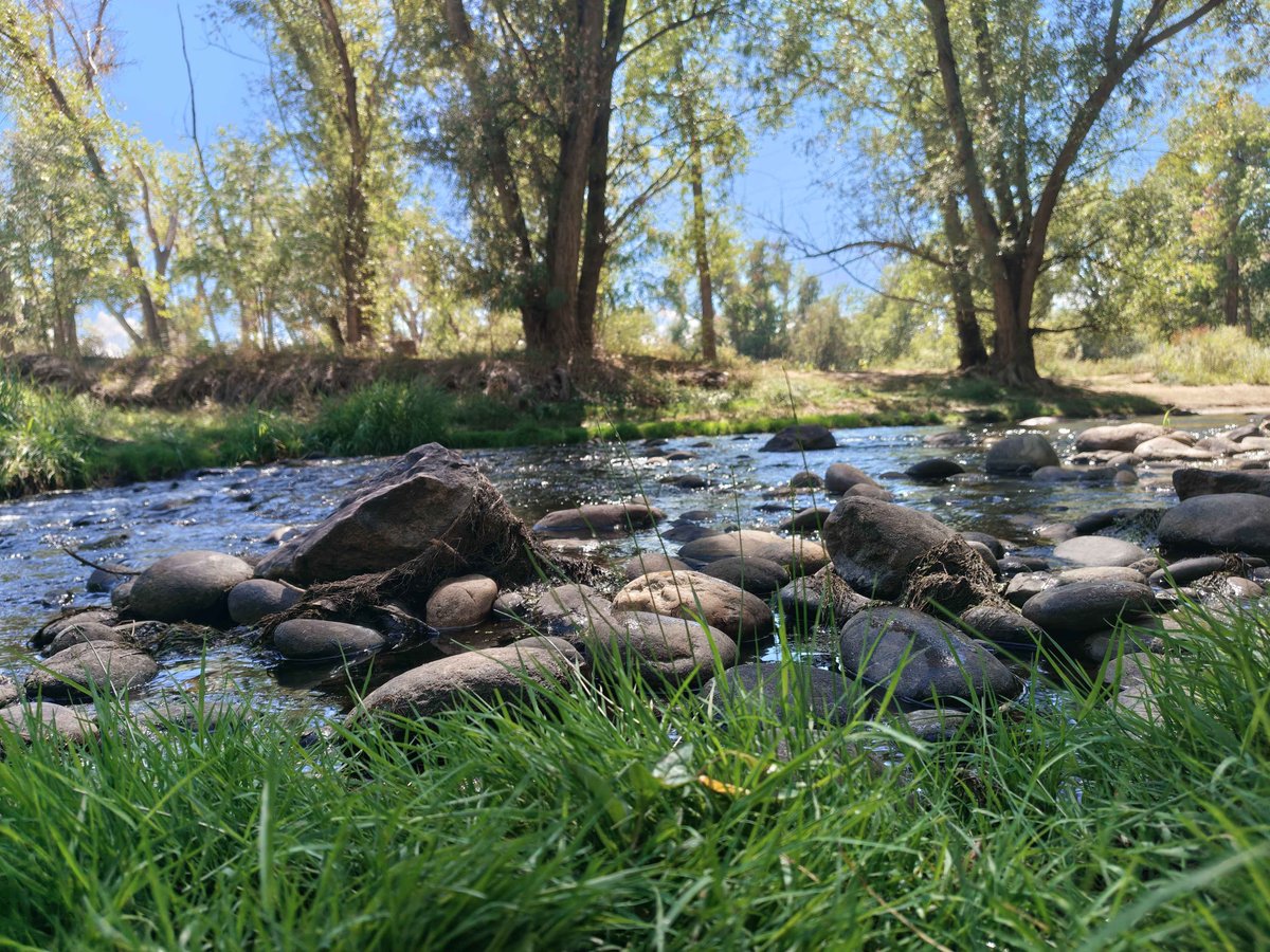 beolunedusk's tweet photo. Wh this creek remind me of bladee https://t.co/JMELBudLQi
