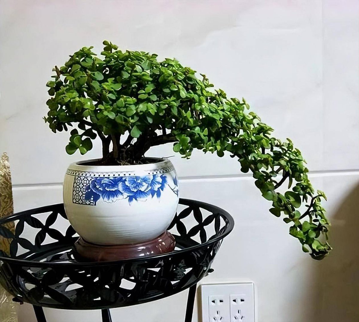 sweet997282's tweet photo. Turn an old glass jar into a cute succulent planter with just some paint u0026 pebbles! Super easy upcycle for home decor  #UpcycleDIY， https://t.co/jhXwLkCbCF