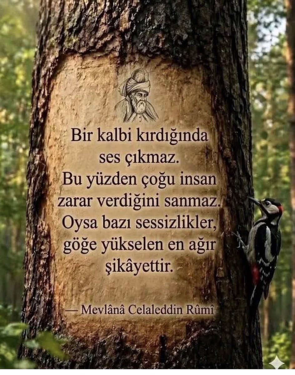 Tahsin170942's tweet photo. Selamün aleyküm 
Hayırlı sabahlar https://t.co/BgnGsc1WIH
