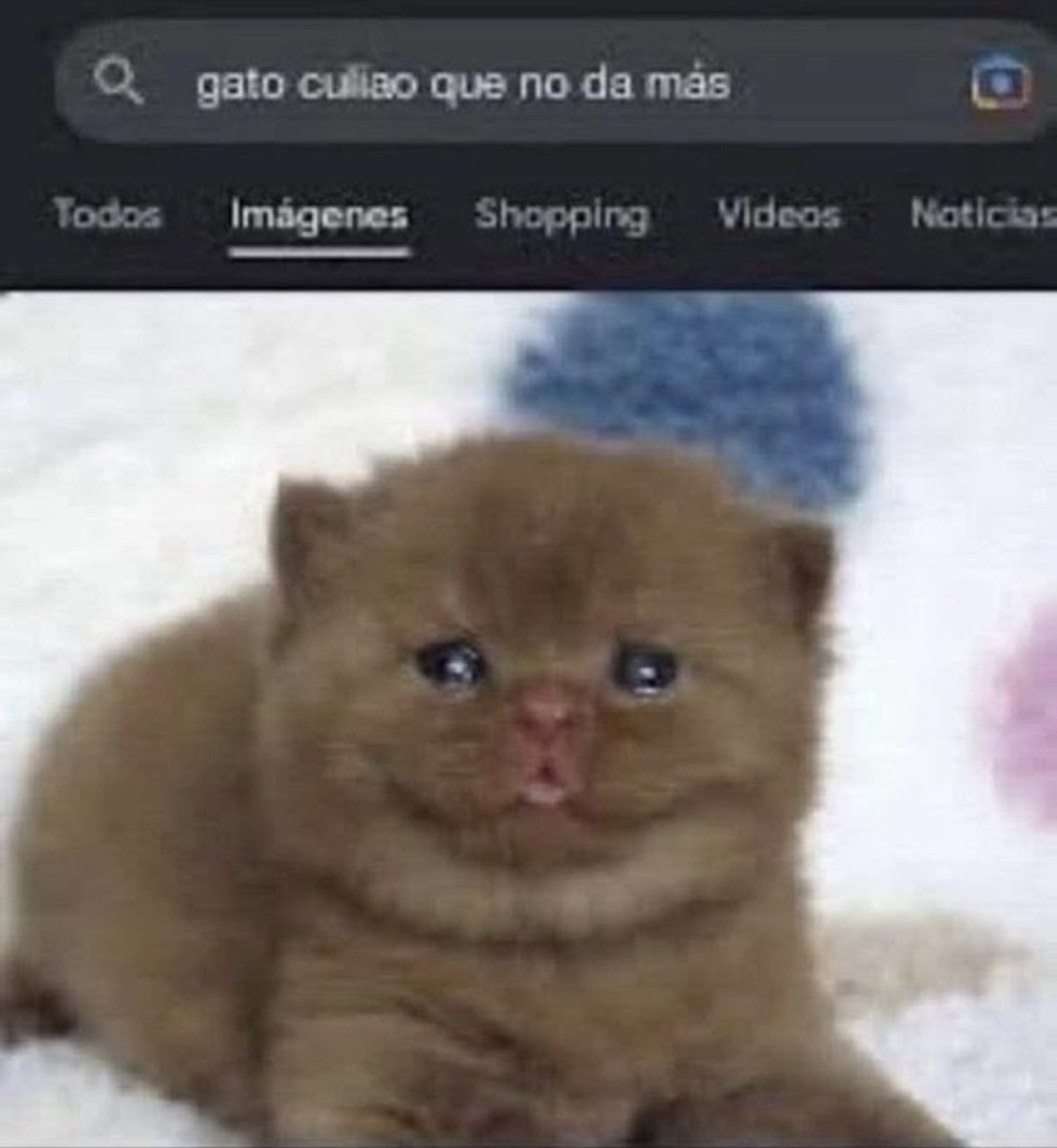 sedaeternaa's tweet photo. Cómo le hacen para que sus friend request tengan de que muchos likes y así, los míos no pasan de 10 alv ya https://t.co/xsGLvVWwjG