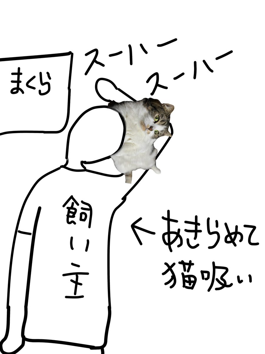 torotolo106106's tweet photo. 飼い主の日記です https://t.co/8nF7uzaWDR